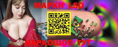 гидра Краснокаменск
