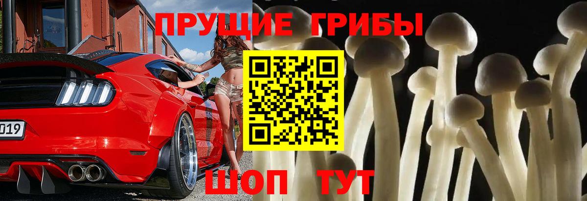Галлюциногенные грибы GOLDEN TEACHER  Вход с VPN  Зеленогорск 